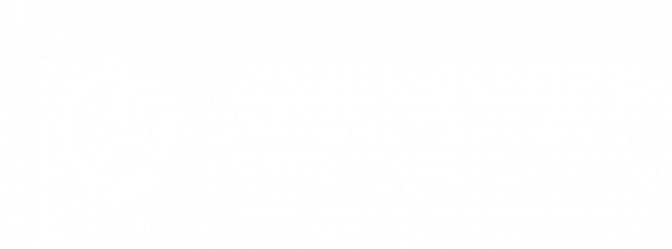 Isologotipo_Dirección General de Secretaría_Diapo blanco_PNG