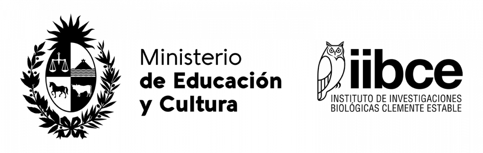 Isologotipo_IIBCE_Negro_PNG Isologotipo_IIBCE_Negro_PNG