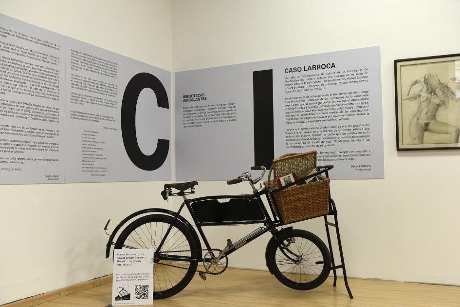 Bicicleta con canasto y adentro hay libros
