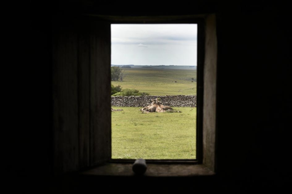 Vista por una ventana