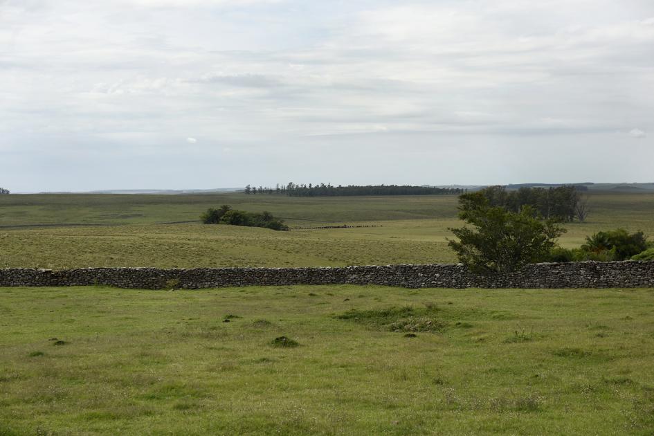 Vista general del castillo