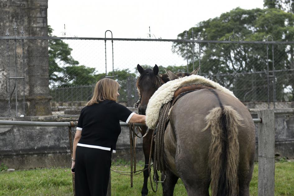 Mujer acariciando un caballo