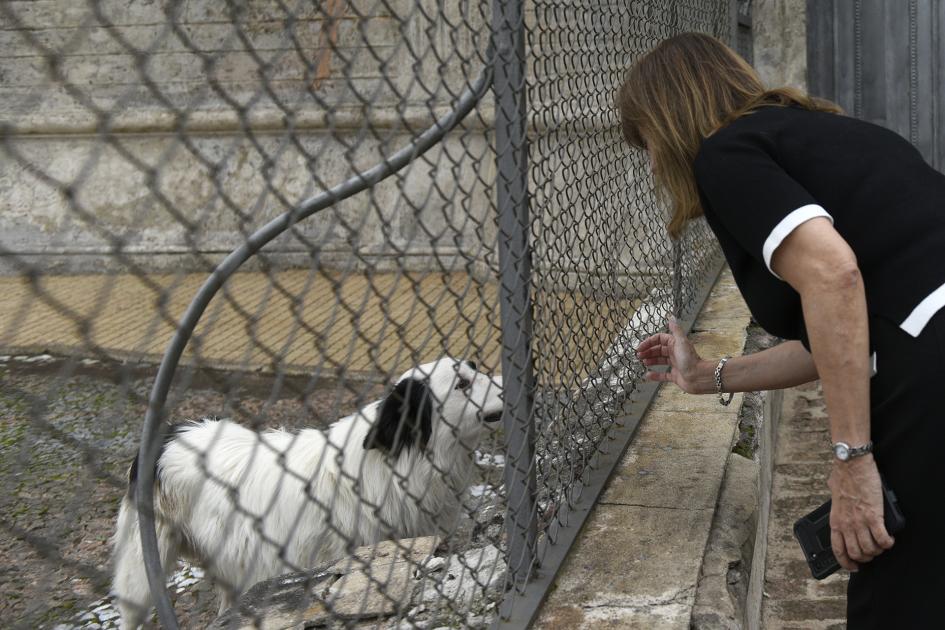 Mujer tocando a un perro a través de una reja