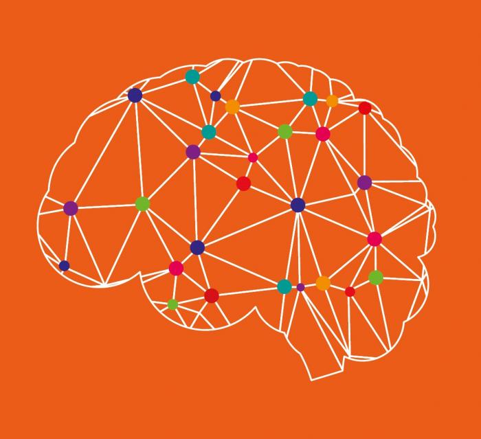 Cerebro