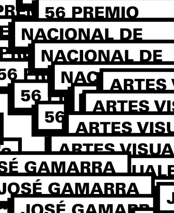 56.º Premio Nacional de Artes Visuales José Gamarra