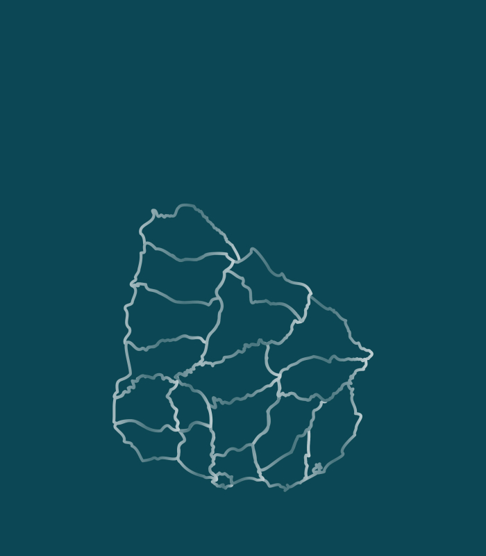 Mapa lineal de Uruguay con la división en departamentos