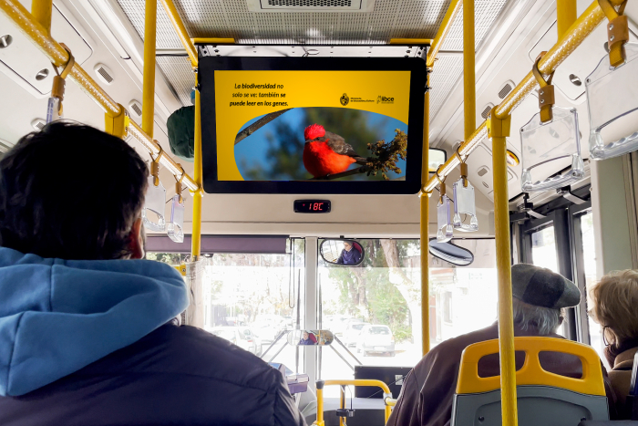 Un microvideo del Instituto en un bus de Montevideo