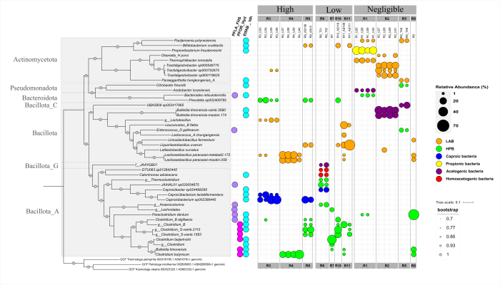 Árbol filogenético con los microorganismos presentes y su función en los diferentes reactores Árbol filogenético con los microorganismos presentes y su función en los diferentes reactores