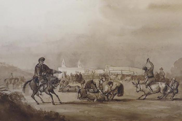 Campo Campo