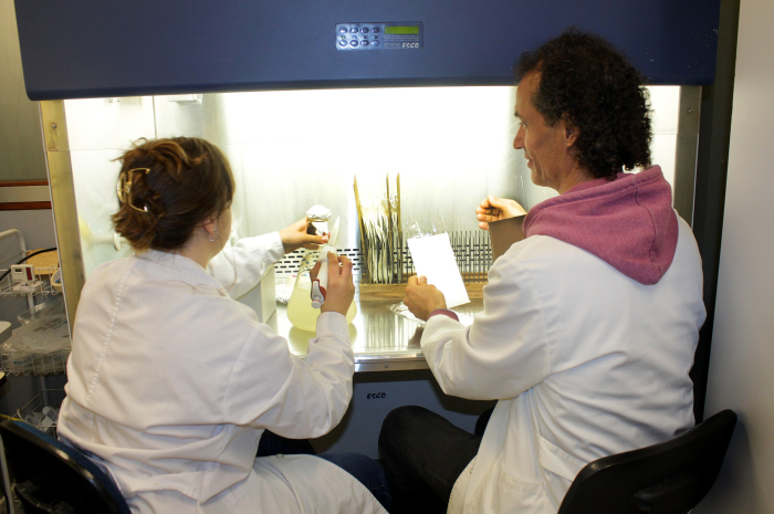 Paula Castro y Raúl Platero en el laboratorio Paula Castro y Raúl Platero en el laboratorio
