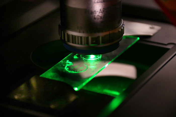 Microscopio confocal ZEISS LSM 980 Microscopio confocal ZEISS LSM 980