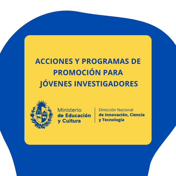 Acciones y programas de promoción para jóvenes investigadores