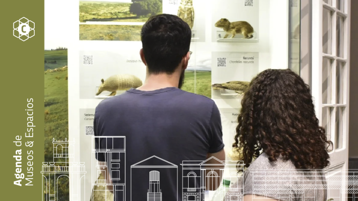 Actividades de Museos MEC del 17 al 23 de febrero 2025