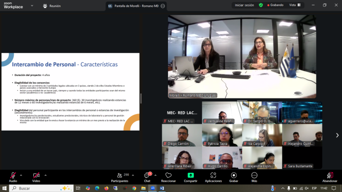 Imagen de los participantes en la videoconferencia