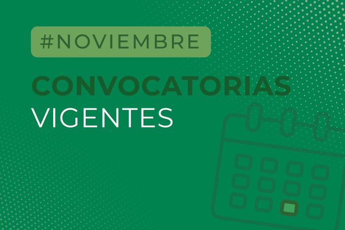 Convocatorias noviembre. Convocatorias noviembre.