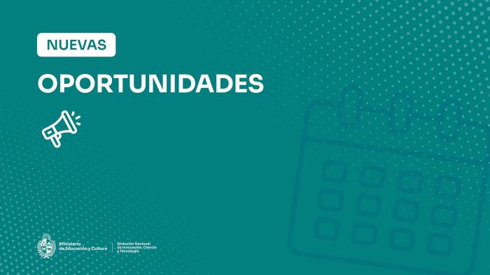 Consultoría para la elaboración de Agenda de Investigación y Desarrollo en energía