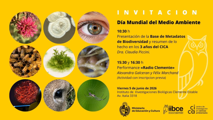 Invitación Día del Medio Ambiente 2026