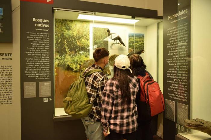 Foto Museo Nacional de Historia Natural