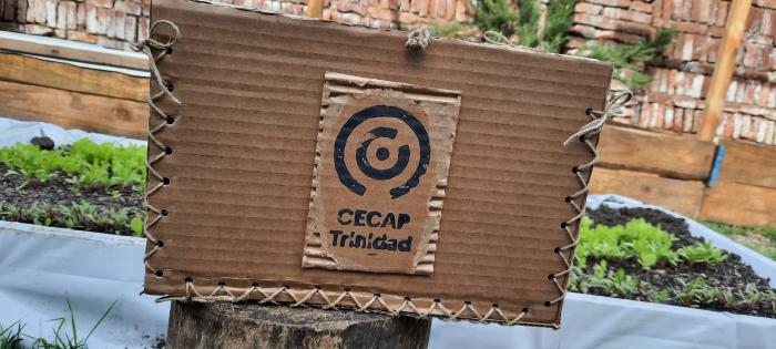 Caja finalizada con el logo de Cecap pintado con stencil