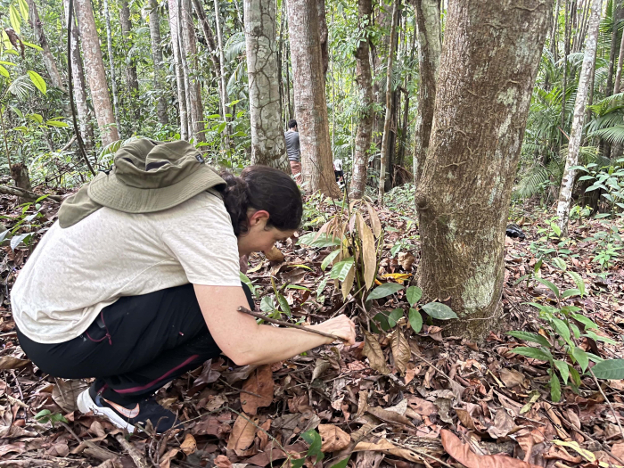 Investigadora en Amazonas Investigadora en Amazonas