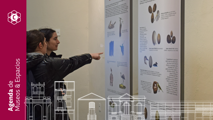 Actividades de museos · del 29 al 3 de setiembre 2023