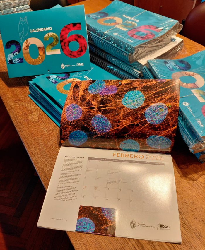 Calendarios 2026 IIBCE