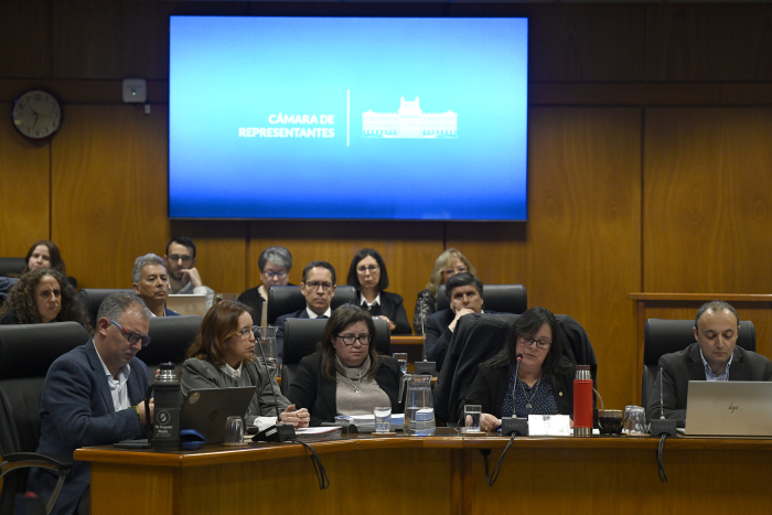 Autoridades del MEC presentaron presupuesto quinquenal en el Parlamento
