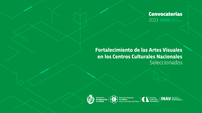 Seleccionados | Fortalecimiento de las Artes Visuales en los Centros Culturales Nacionales