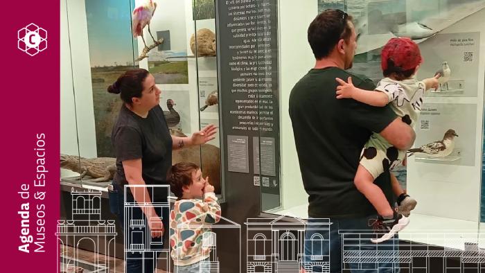 Agenda de actividades en nuestros museos y espacios