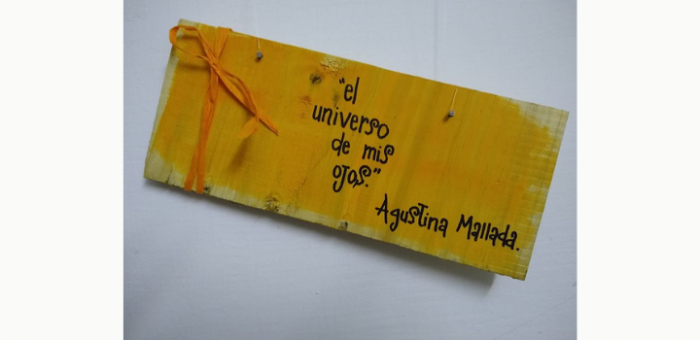 Cuadro que dice: "El universo de mis ojos. Agustina Mallada."