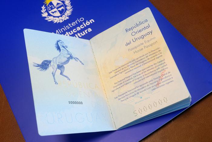 Pasaporte abierto