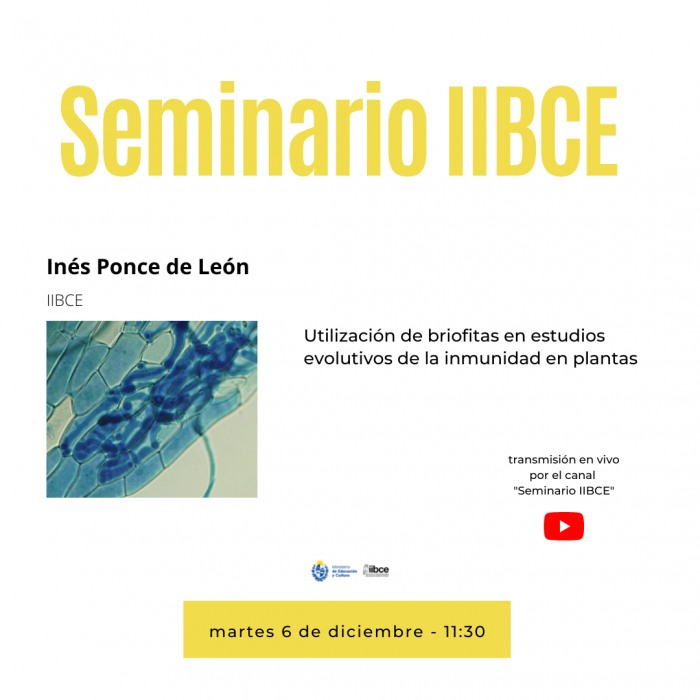Seminario Institucional el martes 6 de diciembre de 2022 - 11:30 Seminario Institucional el martes 6 de diciembre de 2022 - 11:30