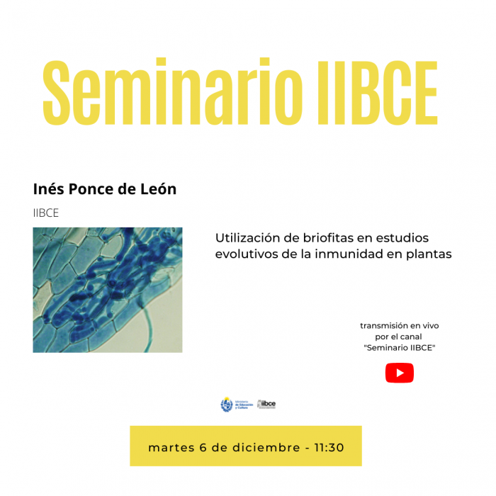 Seminario Institucional el martes 6 de diciembre de 2022 - 11:30