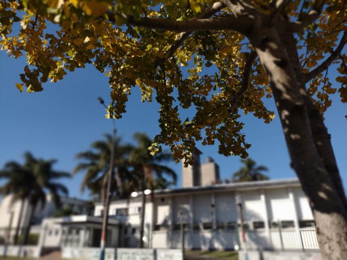 Imagen del Instituto desde la Avenida Italia.