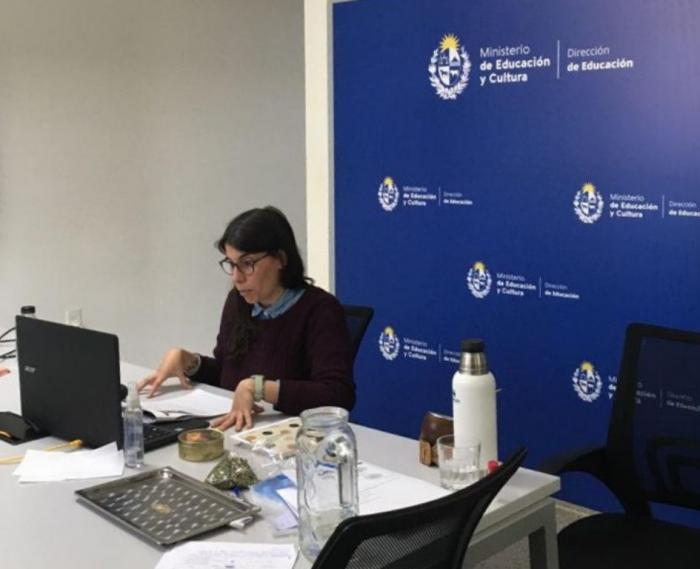 Hacia un sistema nacional de bibliotecas inclusivo Persona sentada realizando una videollamada