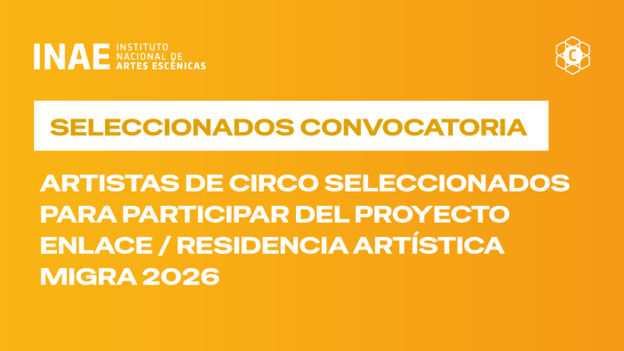 Programa de Residencias: Becas para participar del Proyecto Enlace para artista