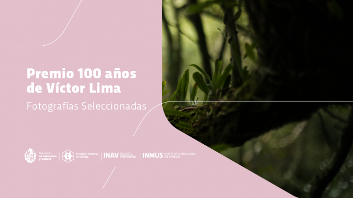 título del premio sobre foto de plantas título del premio sobre foto de plantas