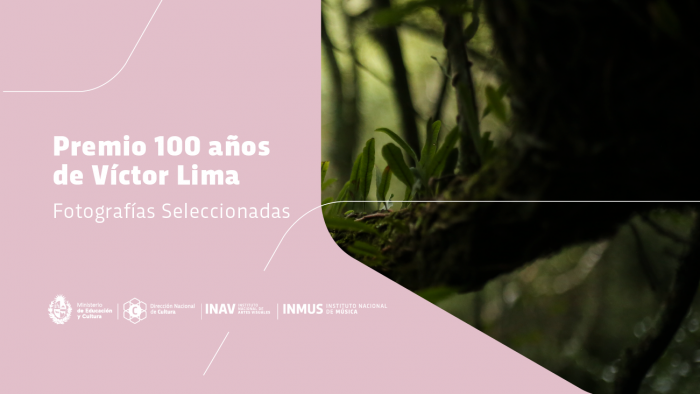 título del premio sobre foto de plantas