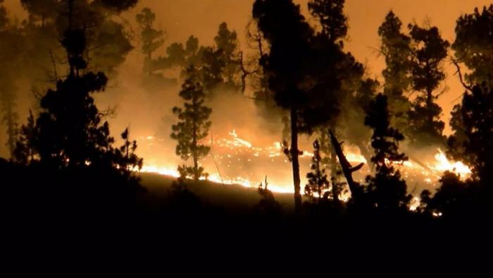 Foto de incendios forestales en Uruguay | AP Photo / Wikono