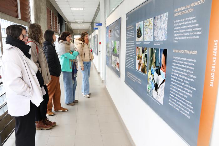 La Fotogalería "Clemente Investiga" se exhibe en el Cenur Litoral Norte, sede Paysandú. La Fotogalería "Clemente Investiga" se exhibe en el Cenur Litoral Norte, sede Paysandú.