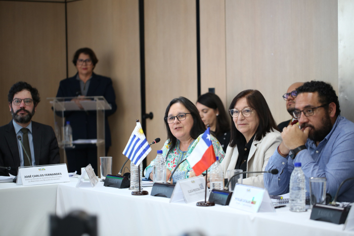 Gabriela Verde durante la 67.ª Reunión de Ministros de Educación del Mercosur.