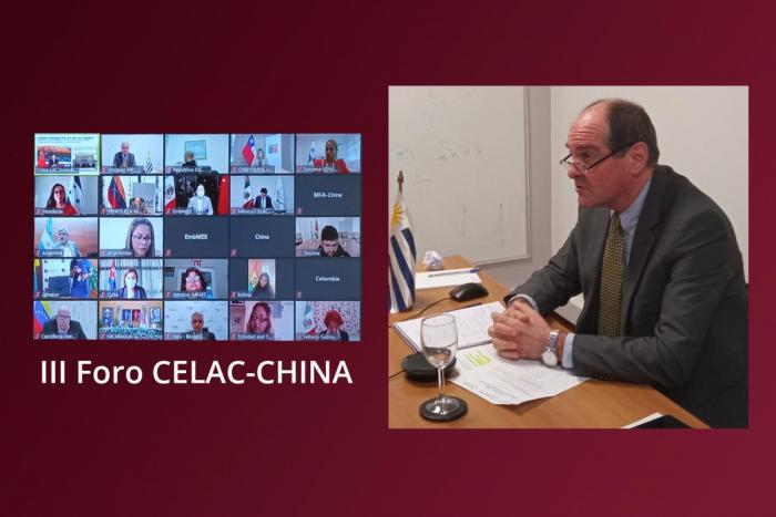 Director Ing. Alberto Majo participando en videoconferencia.