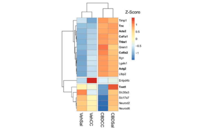 Gráfico de la investigación que muestra los resultados de los estudios de transcriptómica (RNA-seq).