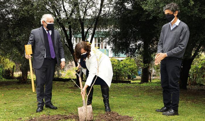 Embajadora Faye O´Connor preparando la plantación del Ibirapitá en el jardín del IIBCE