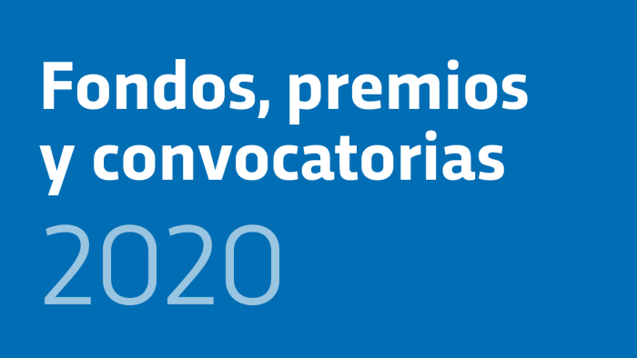 Informe sobre los fondos, premios y convocatorias 2020