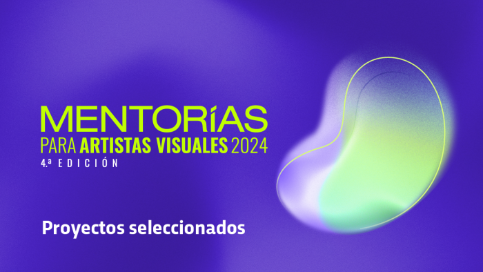 Fallos de Mentorías 2024