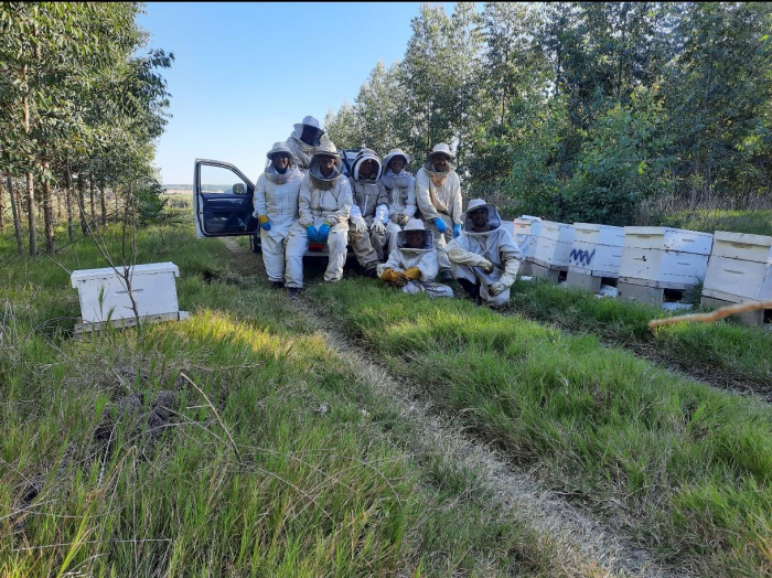 Equipo de trabajo en campo