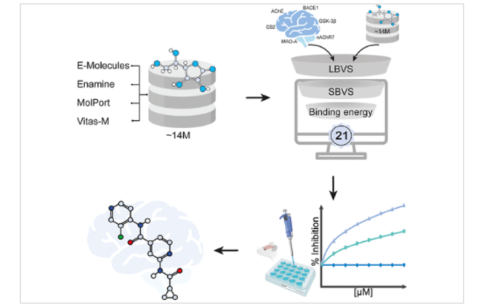 De 14 millones de moléculas, 21 seleccionadas; PJ17 surge como candidato para tratar el Alzheimer.