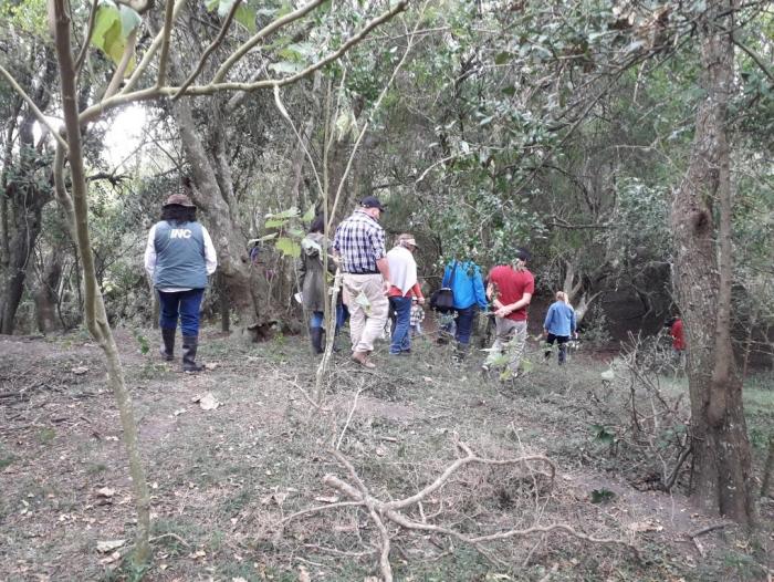 Personas caminando