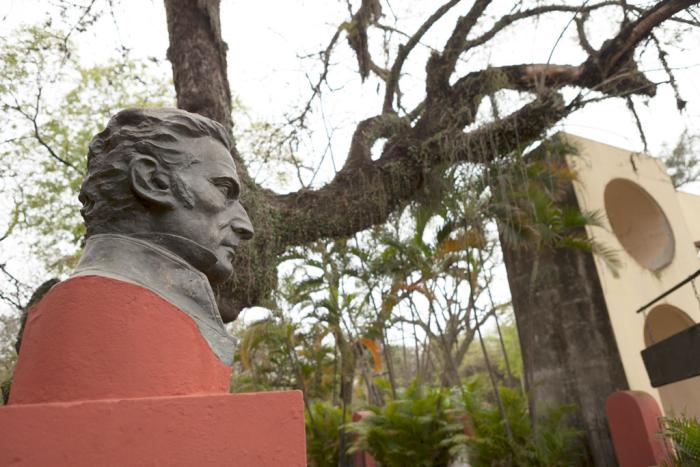 Busto Busto
